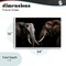 Stupell Industries Pachyderm Elephant Pair Framed Giclee, design by Decent Exposures